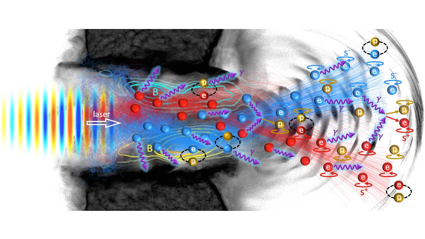 等离子体加速极化粒子束